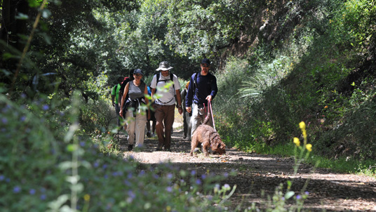 Childhood memories of forests creeks and ponds morphed into adult interests, travel to diverse geographies and connections to my wife's park ranger and college teacher profession 