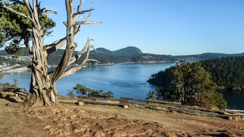 dusty dirt road backroad view in Washington Park Anacortes Washington Burrows Bay and Mount Erie photo by rodger