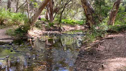 Grandchildren favorite forests creeks and ponds the 4th generation of childhood memories of forests creeks and ponds takes shape