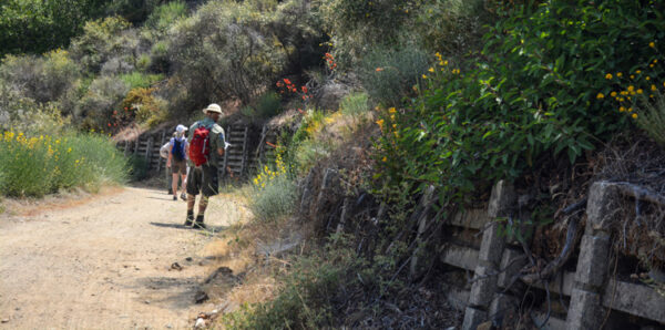 biology and geology backroad memories birds flowers and mountain views expand childhood visions of dusty dirt roads and connect with 50s childhood backroad memories