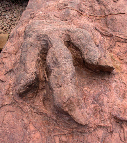 dinosaur tracks backroad geology near Zion Utah adds another dimension to the national parks experience exploration of unsinged Utah Roads expands and compliments 50s childhood backroad memories