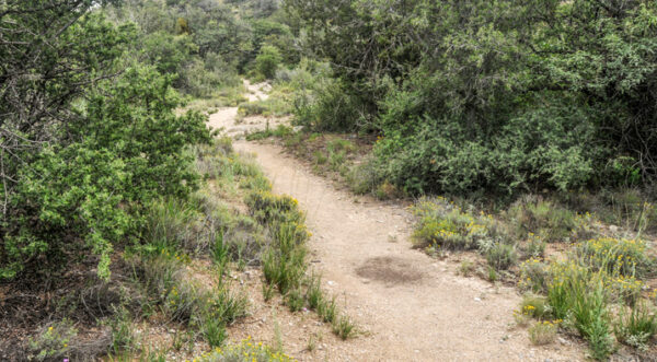 Backroad to American Southwest History trail to Fort Bodie Arizona 1861 Butterfield Stage route from Tennessee to California