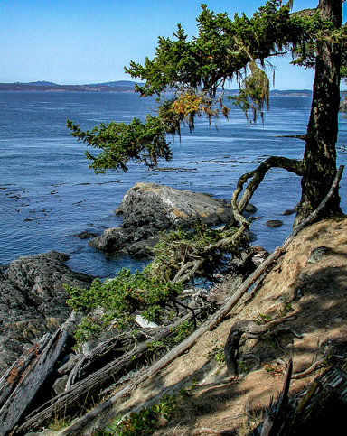 50s childhood memories revisited view from Shark Reef State Park on Lopez Island during a 2011 visit a frequently travelled channel by boat a facsimile back road route to Friday Harbor and Victoria BC the Islands exploration added a dimension to my childhood country road memories