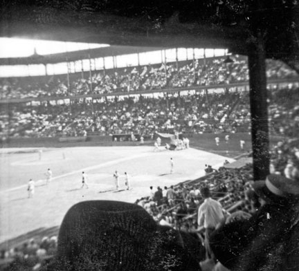 Baseball fanaticism is family time, passion, and recreation.